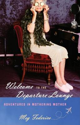 Book cover for Welcome to the Departure Lounge