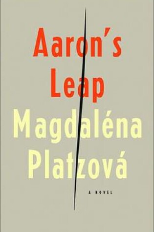 Cover of Aaron's Leap