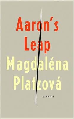 Book cover for Aaron's Leap