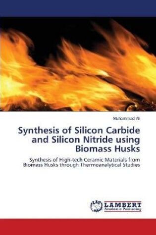 Cover of Synthesis of Silicon Carbide and Silicon Nitride using Biomass Husks