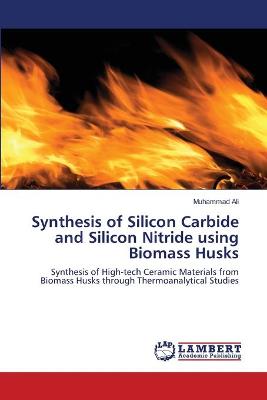 Book cover for Synthesis of Silicon Carbide and Silicon Nitride using Biomass Husks