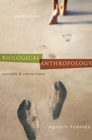 Cover of Biological Anthropology:  Concepts and Connections