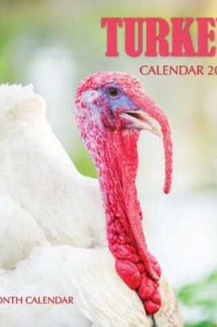 Cover of Turkey Calendar 2020