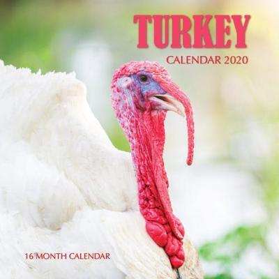 Book cover for Turkey Calendar 2020