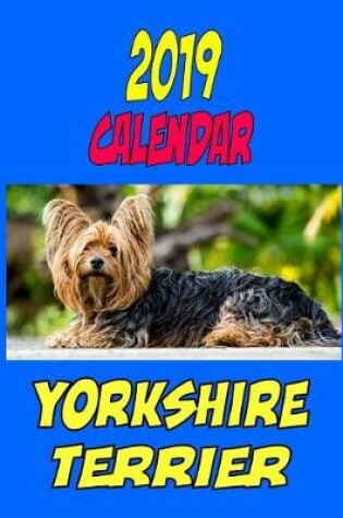 Cover of 2019 Calendar Yorkshire Terrier