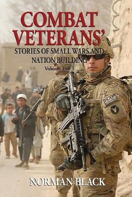 Book cover for Combat Veterans' Stories of Small Wars and Nation Building