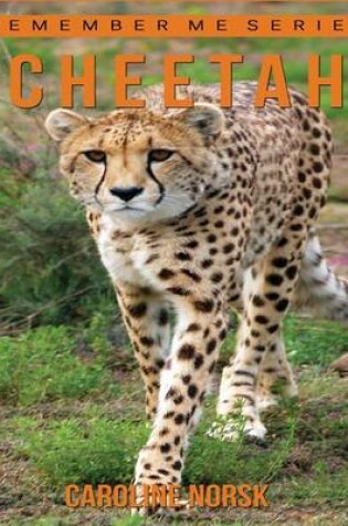 Cover of Cheetah