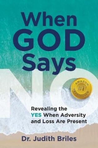 Cover of When God Says NO - Revealing the YES When Adversity and Lost Are Present