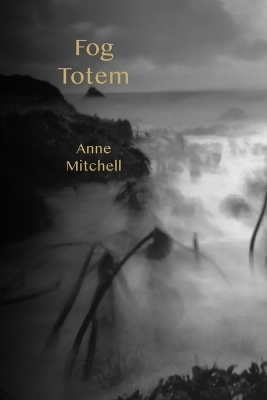 Book cover for Fog Totem