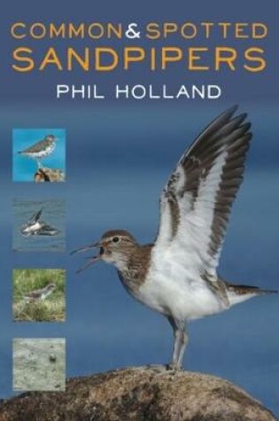 Cover of Common and Spotted Sandpipers