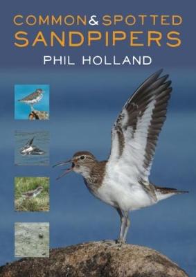 Book cover for Common and Spotted Sandpipers