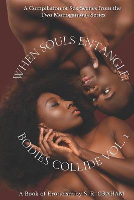 Book cover for When Souls Entangle; Bodies Collide