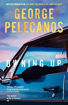 Book cover for Owning Up