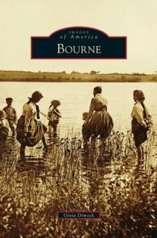 Cover of Bourne