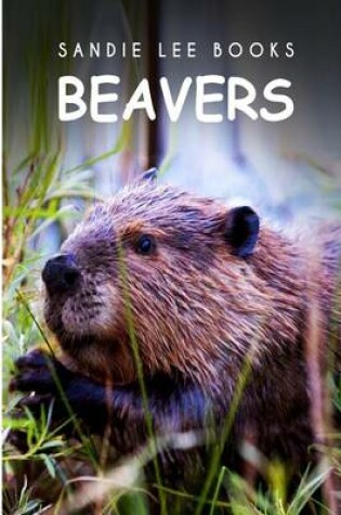 Cover of Beavers - Sandie Lee Books