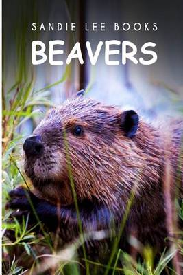 Book cover for Beavers - Sandie Lee Books