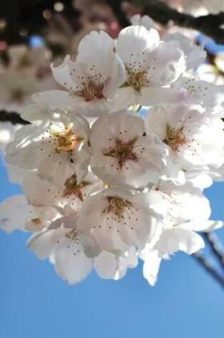 Cover of Cherry Blossom Notebook