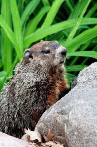 Cover of Hello There, Groundhog! Cute Animal Journal