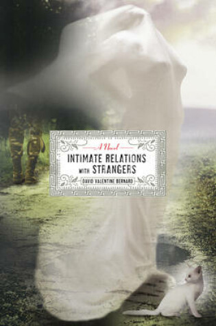 Cover of Intimate Relations with Strangers