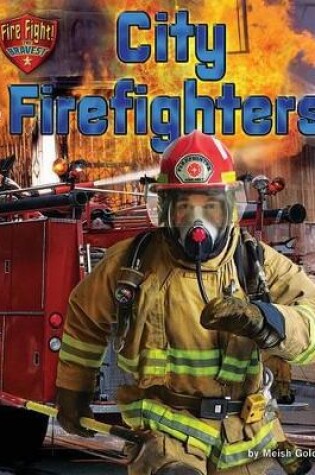 Cover of City Firefighters