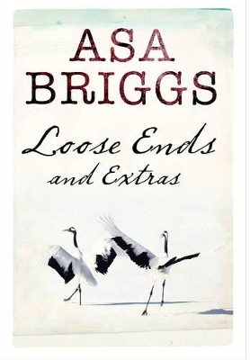 Book cover for Loose Ends and Extras