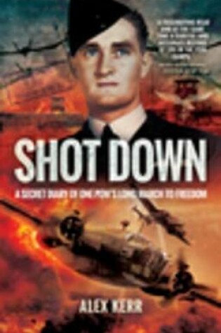 Cover of Shot Down