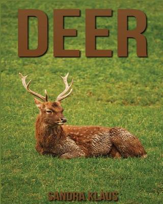 Book cover for Deer