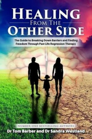 Cover of Healing from the Other Side