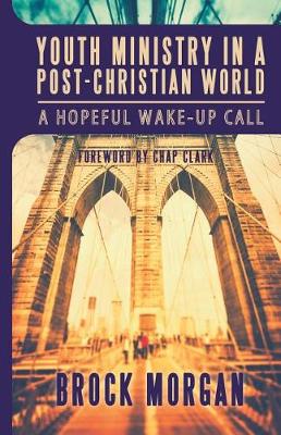 Book cover for Youth Ministry in a Post-Christian World