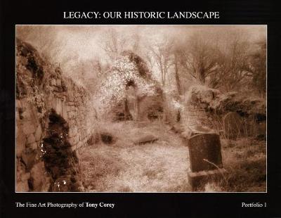 Book cover for Legacy: our historic landscape