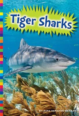 Cover of Tiger Sharks