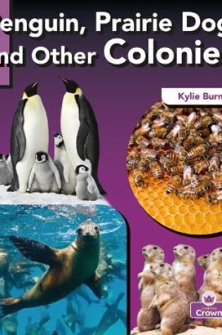 Cover of Penguin, Prairie Dog, and Other Colonies