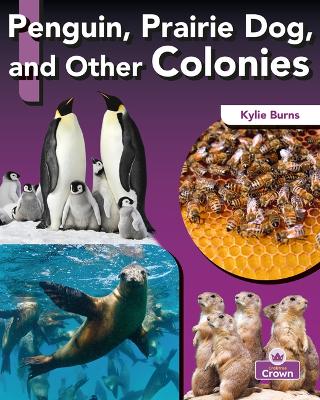 Book cover for Penguin, Prairie Dog, and Other Colonies