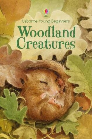 Cover of Woodland Creatures