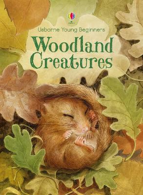 Book cover for Woodland Creatures