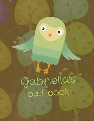 Book cover for Gabriella's Owl Book
