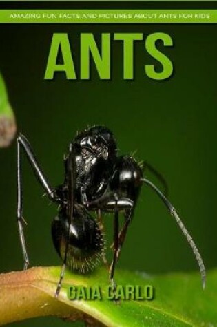 Cover of Ants