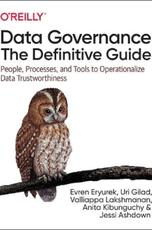 Cover of Data Governance: The Definitive Guide