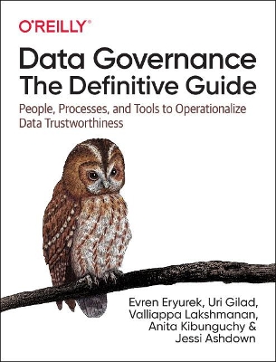 Book cover for Data Governance: The Definitive Guide