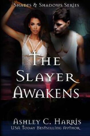 Cover of The Slayer Awakens