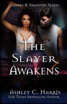 Cover of The Slayer Awakens