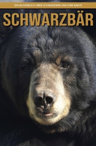 Cover of Schwarzbär