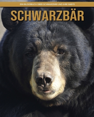 Book cover for Schwarzbär