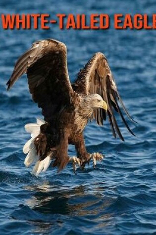 Cover of White-Tailed Eagle