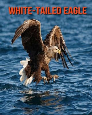 Book cover for White-Tailed Eagle