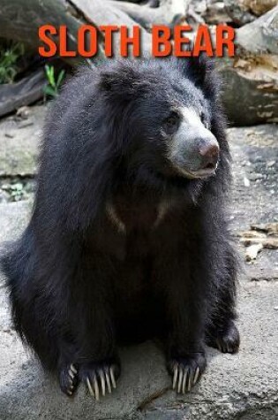 Cover of Sloth Bear