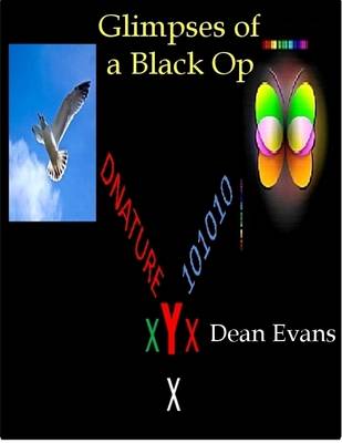 Book cover for Glimpses of a Black Op