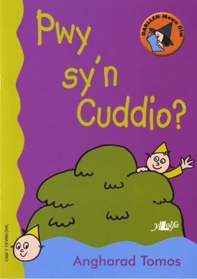 Book cover for Cyfres Darllen Mewn Dim - Cam y Dewin Dwl: Pwy Sy'n Cuddio?