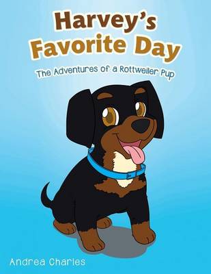 Book cover for Harvey's Favorite Day