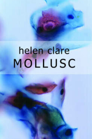 Cover of Mollusc